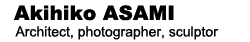Akihiko ASAMI