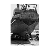 YIM-019 YIM-019